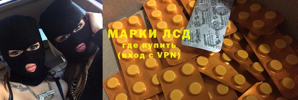 a pvp Бородино