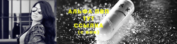 сатива Армянск