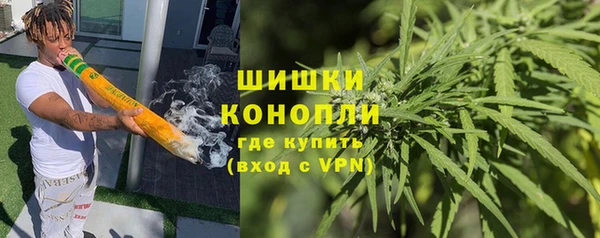 a pvp Бородино