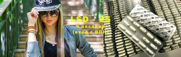 a pvp Бородино