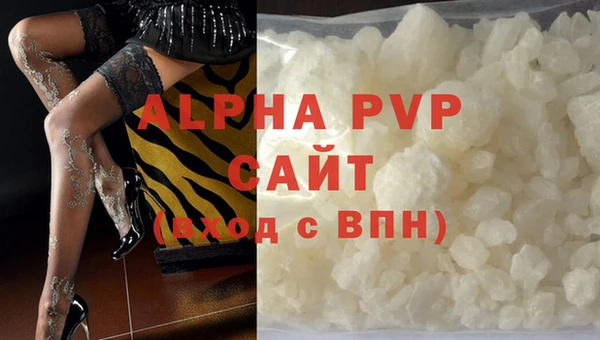 a pvp Бородино
