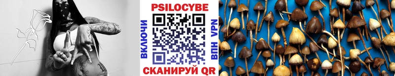 Галлюциногенные грибы мухоморы  сколько стоит  KRAKEN маркетплейс  нарко площадка как зайти  Свирск 