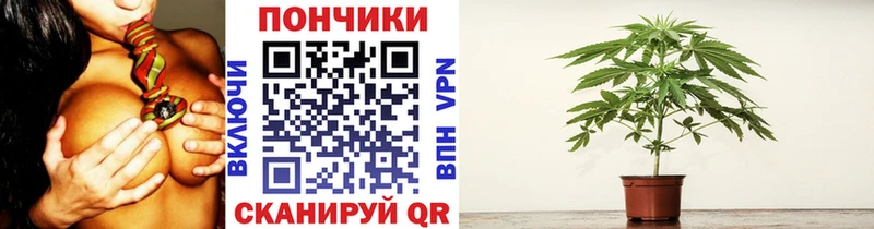Шишки марихуана LSD WEED цена Свирск